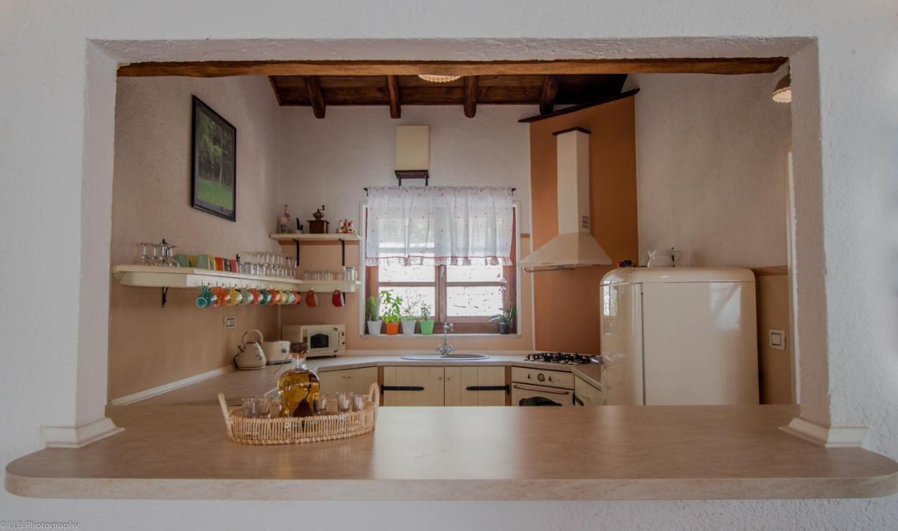 Family Villa Lipica With Private Pool And Jacuzzi パジン エクステリア 写真
